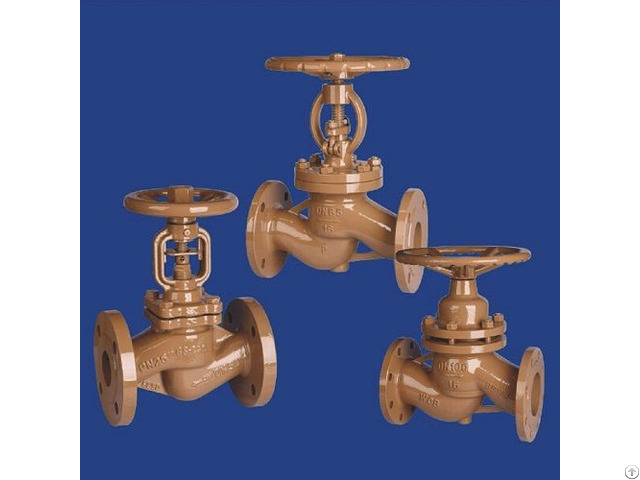 Globe Valve