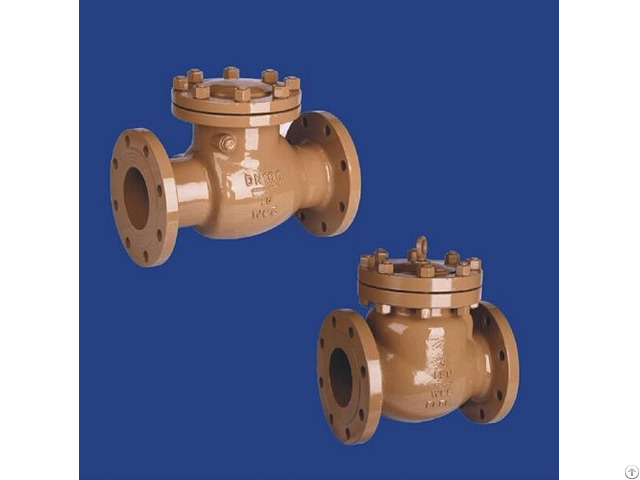 Check Valve