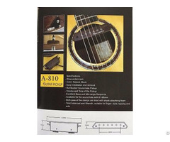 Soundhole Pickup A 810