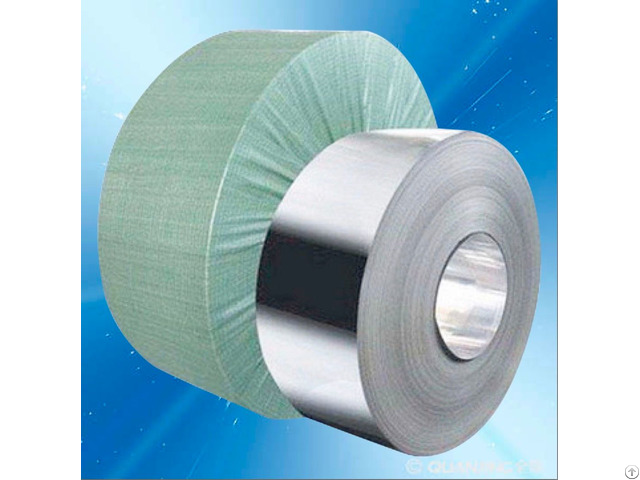 Hi Precision Thin Stainless Steel Coil Strip Foil