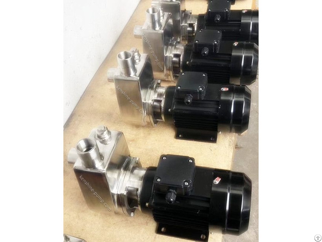 Fbz Stainless Steel Self Priming Pump