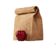 Eco Friendly Waxed Canvas Lunch Bag