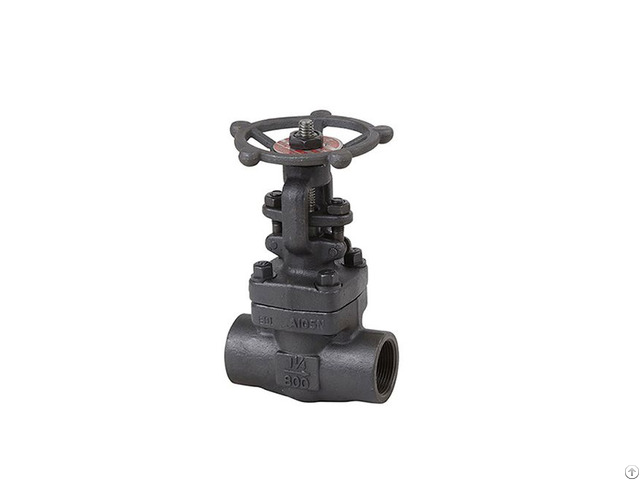 Ansi Forged Gate Valve