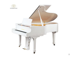 Shanghai Artmann Gp152 Grand Piano