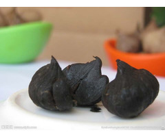 What Can Be Used For Making Black Garlic