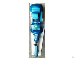 Lg Vertical Submersible Screw Pump