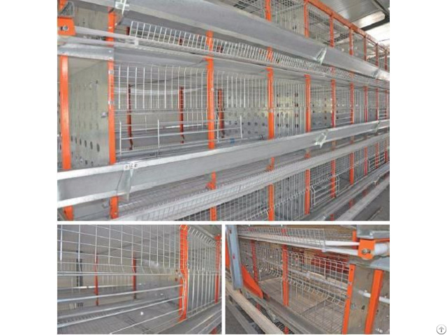 H Type Automatic Pullet Coop Poultry Equipment