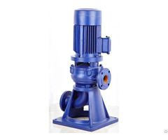 Lw Wl Vertical Sewage Drainage Pump