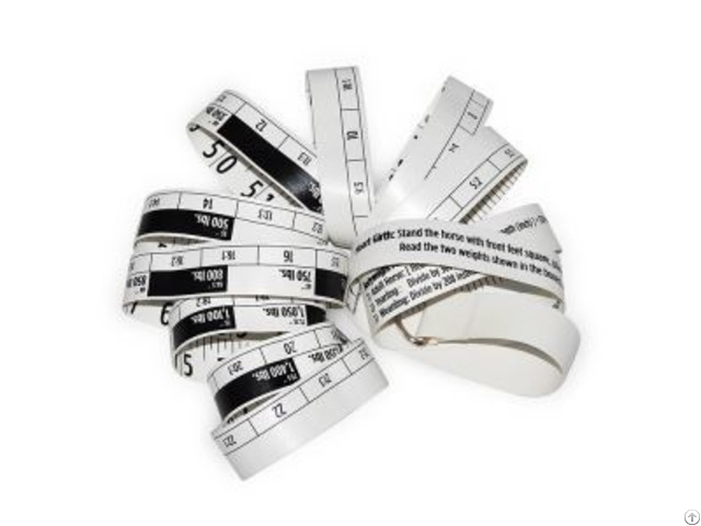 Wound Measuring Ruler