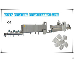 Soya Protein Processing Line