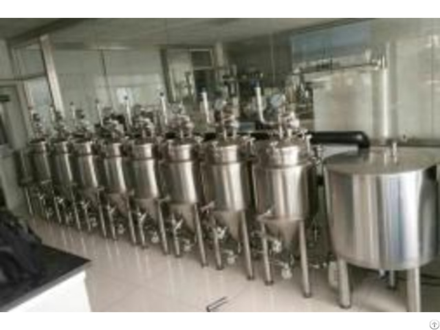Testing Brewery Equipment 50l
