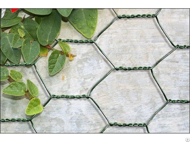 Hexagonal Mesh Chicken Wire