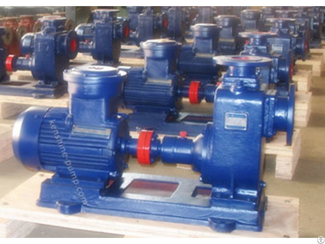 Cyz Self Priming Oil Transfer Pump