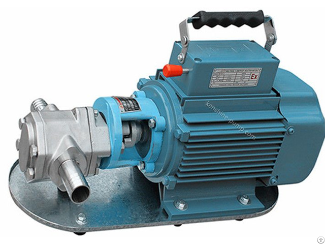 Wcb Stainless Steel Gear Pump
