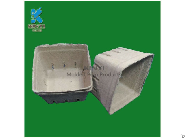 Customized Paper Pulp Mold Fruit Packaging Tray Container