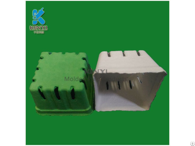 Environmental Paper Pulp Molded Fruit Packaging Tray