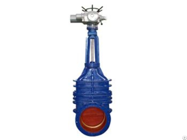 Cast Iron Gate Valve