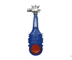 Cast Iron Gate Valve