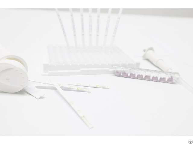 Sulfonamides Tetracycline Beta Lactam Rapid Test Kit