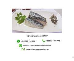 Wholesale Moroccan Sardines