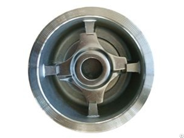 Stainless Steel Wafer Spring Check Valve