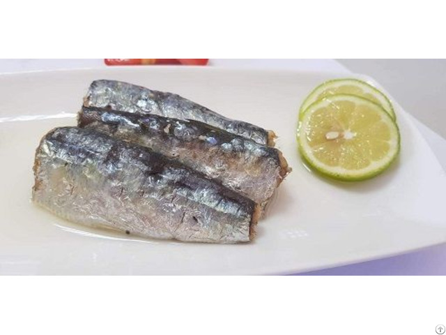 Bulk Moroccan Sardines Wholesale