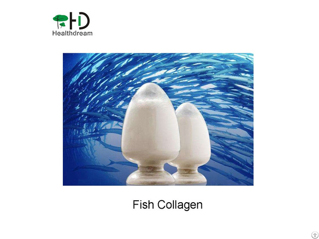 Fish Collagen Powder