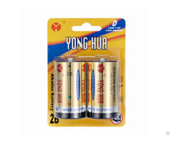 Super Alkaline Battery Lr20 Am1 1 5v D Size For Gas Cooker