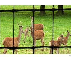 Plastic Mesh Deer Fence