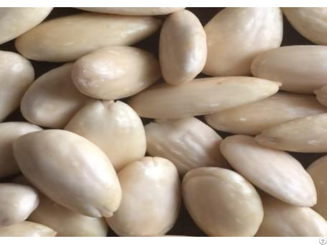 Blanched Almond Kernels