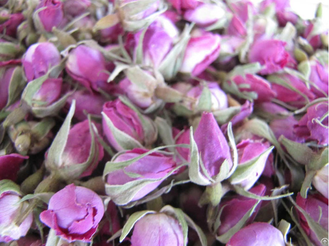 Pink Rose Bud