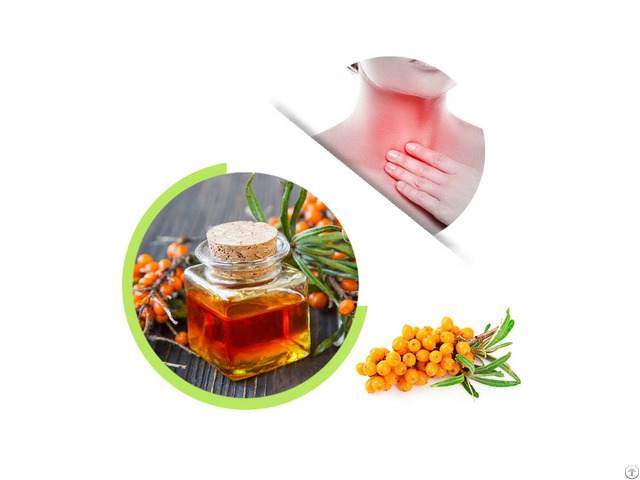 Hot Sale Supply Nature 100 Percent Seabuckthorn Seed Oil