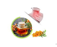 Hot Sale Supply Nature 100 Percent Seabuckthorn Seed Oil