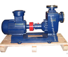 Cyz Self Priming Explosion Proof Centrifugal Oil Pump