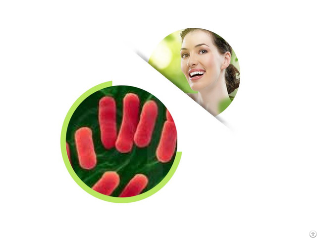 Lactobacillus Crispatus Powder