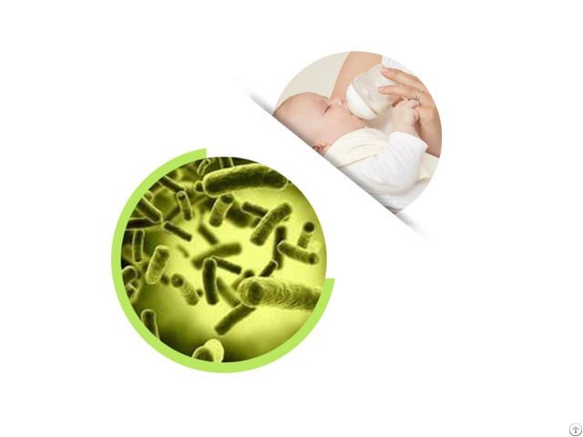 Bifidobacterium Infantis Powder