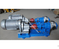 Nyp High Viscosity Fluids Internal Gear Pump