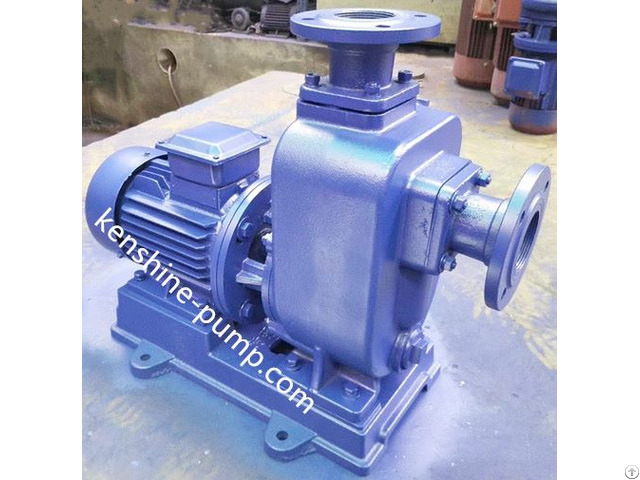 Zwl Self Priming Sewage Pump Directly Coupled Connection