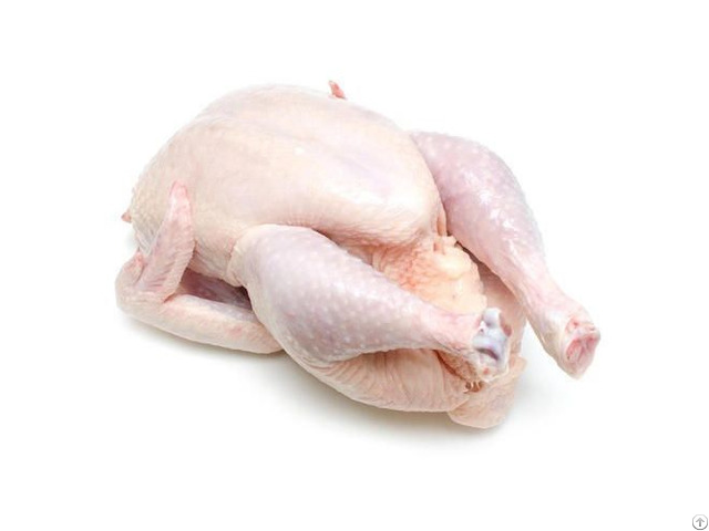 Top Quality Wholesale Halal Frozen Whole Chicken For Sale At Competitive Price