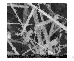 Hydroxyapatite 20nm 97 5 Percent For Low Purity Artificial Bone Scaffold