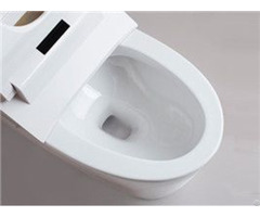 Smart Toilet