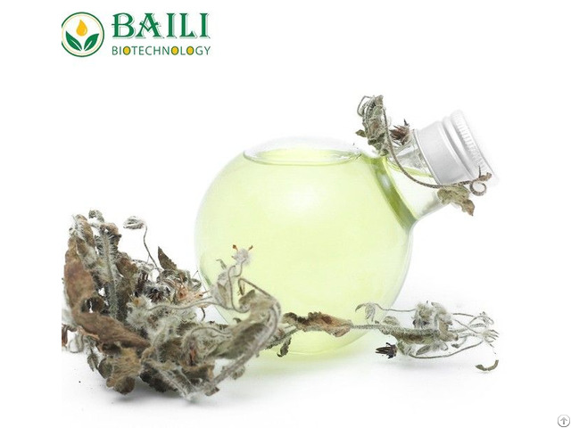 Borage Seed Oil