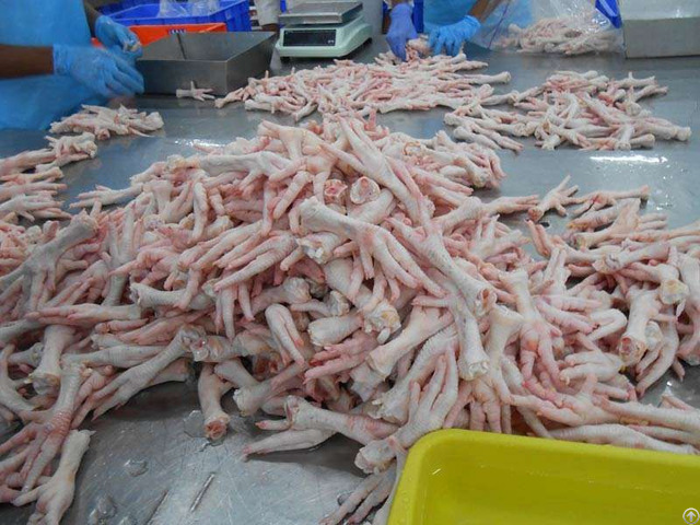 Frozen Chicken Feet For Sale