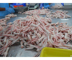 Frozen Chicken Feet For Sale