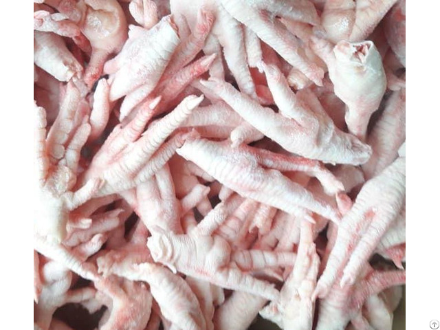 Frozen Chicken Paws For Sale Brazil Origin