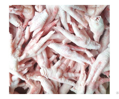 Frozen Chicken Paws For Sale Brazil Origin