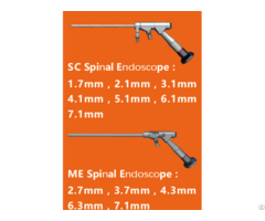 Spinal Endoscope