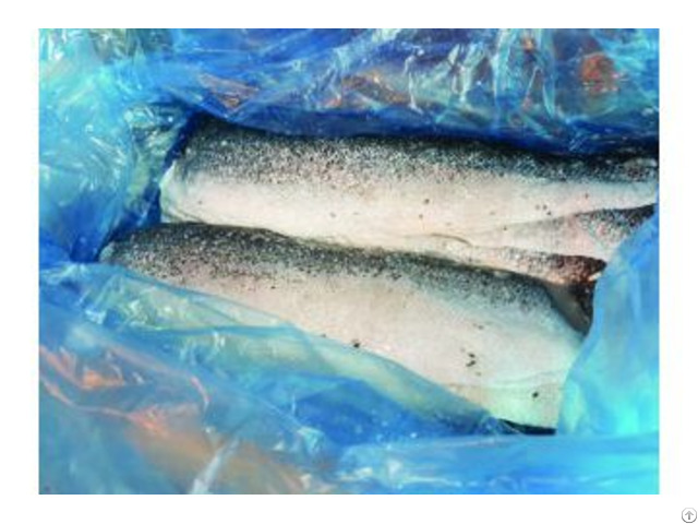 Frozen Salmon