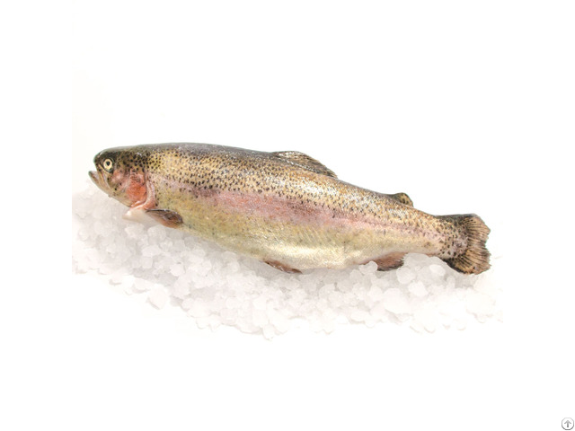Frozen Trout