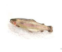 Frozen Trout